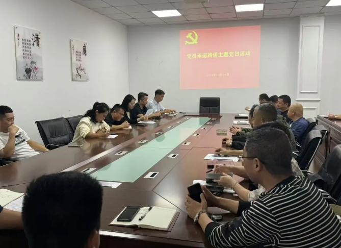 景德镇长运:开展党员亮身份、承诺践诺主题党日活动