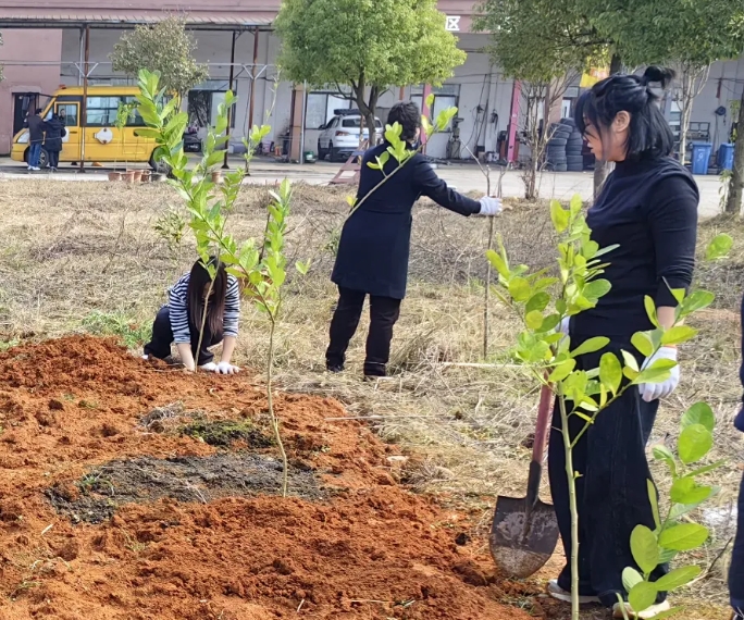 企业文化 || 鹰潭长运:开展植树节活动 共建绿色家园