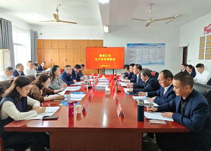 刘磊一行深入鹰潭公司开展生产调研